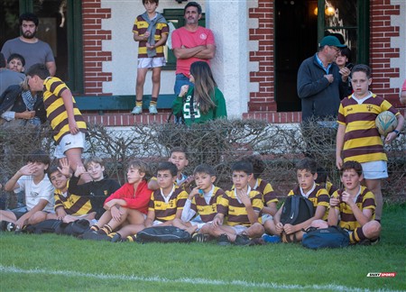 URBA 2025 - Top 12 - 5ta fecha - Belgrano Athletic (52) vs (17) San Luis