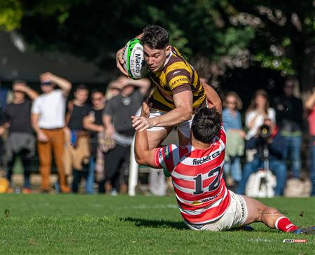 URBA 2025 - Top 12 Sup - Belgrano Athletic (35) vs (17) Asociacion Alumni