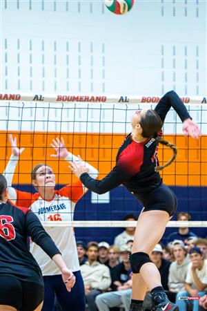 RSEQ 2025 - Volleyball F D1 - André Laurendeau vs Édouard-Montpetit