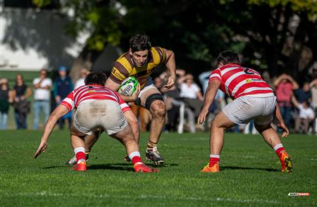 URBA 2025 - Top 12 Sup - Belgrano Athletic (35) vs (17) Asociacion Alumni