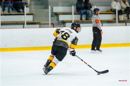 RSEQ 2025 - Hockey M - André Laurendeau (5) vs (4) Cégep de Thetford