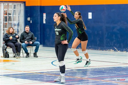 RSEQ 2025 - Volleyball F D1 - André Laurendeau (3) vs (1) Bois-de-Boulogne - Reel BB