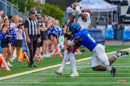 RSEQ 2025 - Football Universitaire - Carabins de Montréal (41) vs (14) Stingers de Concordia - Match