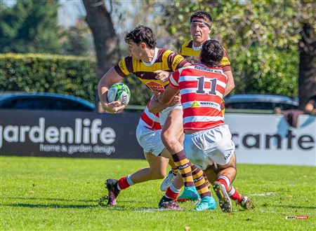 URBA 2025 - Top 12 - 3ra fecha - Inter -  Alumni (33) vs (24) Belgrano Athletic