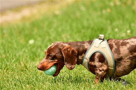 RQ 2025 - LP2 F - Rugby Club de Montréal vs TMR