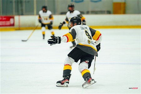 RSEQ 2025 - Hockey M - André Laurendeau (5) vs (4) Cégep de Thetford