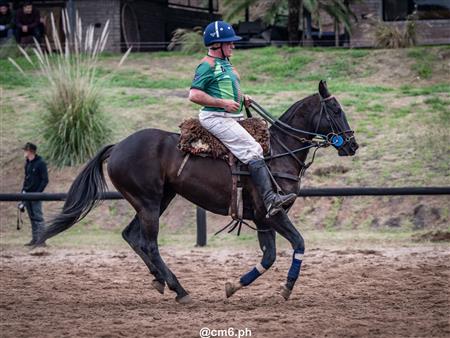 Torneo Nacional de Pato dia de la Independencia Argentina