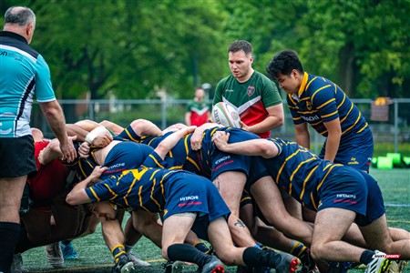 RQ 2025 - Super Ligue M Réserve - Rugby Club de Montréal (24) vs (8) Town Mount Royal -  Reel Juan