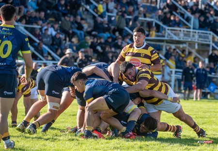 URBA 2025 - Top 12 - 1ra fecha -  La Plata (28) vs (44) Belgrano Athletic