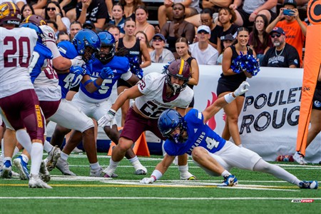 RSEQ 2025 - Football Universitaire - Carabins de Montréal (41) vs (14) Stingers de Concordia - Match