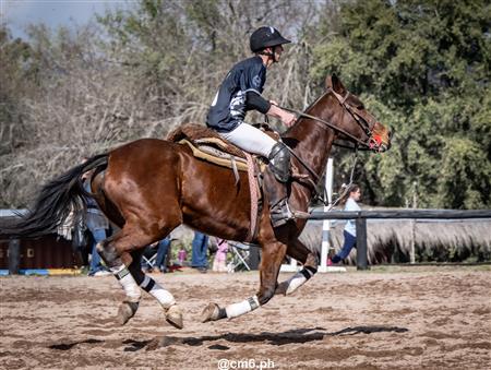 Torneo Nacional de Pato dia de la Independencia Argentina