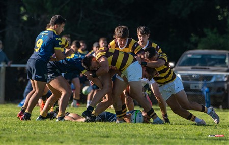 URBA 2025 - Top 12 - 1ra fecha -  La Plata (28) vs (44) Belgrano Athletic