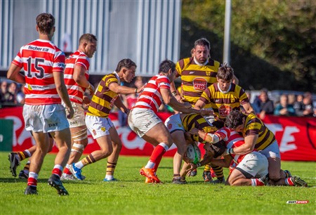 URBA 2025 - Top 12 - 3ra fecha - Sup -  Alumni (19) vs (35) Belgrano Athletic