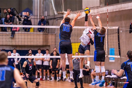 RSEQ 2025 - Volleyball M - Université de Montréal (3) vs (0) UNB