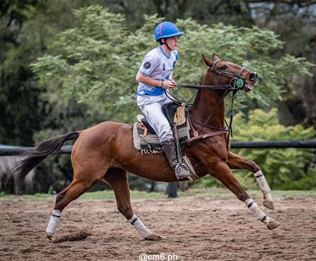 Torneo Nacional de Pato dia de la Independencia Argentina