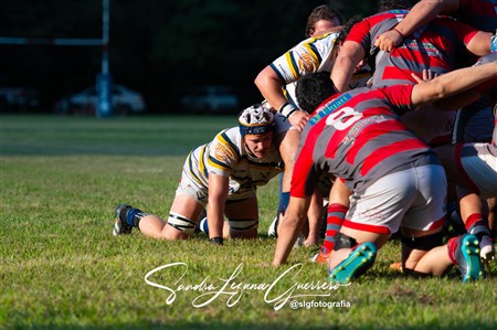 URT 2025 - Lince Rugby Club (12) vs (29)Tucuman Lawn Tennis Club