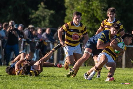 URBA 2025 - Top 12 - 1ra fecha -  La Plata (28) vs (44) Belgrano Athletic