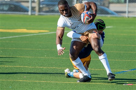 RQ 2025 - LPR3 M - Montréal Phénix Rugby (42) vs (5) Sainte-Anne-De-Bellevue RFC - Match