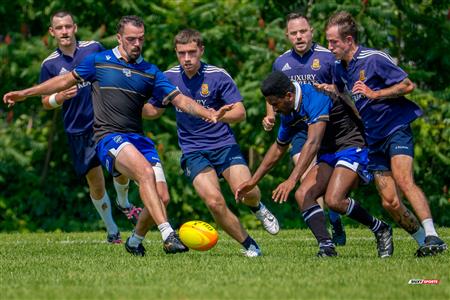 RQ 2025 - LP3M - SABRFC (43) vs (7) Parc Olympique Rugby