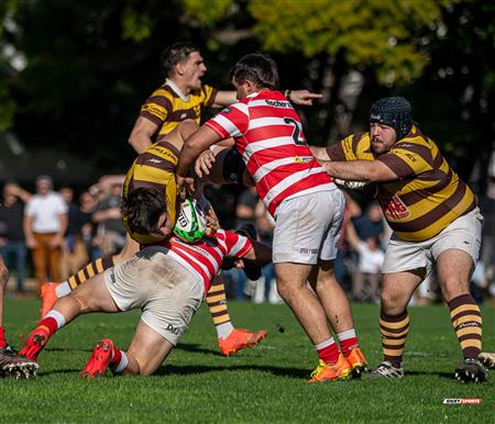 URBA 2025 - Top 12 Sup - Belgrano Athletic (35) vs (17) Asociacion Alumni