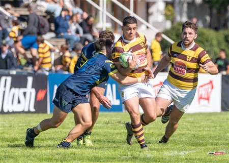 URBA 2025 - Top 12 - 1ra fecha -  La Plata (28) vs (44) Belgrano Athletic