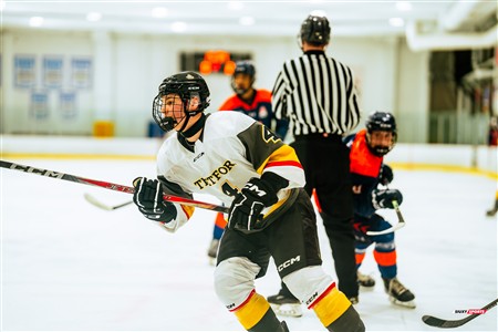 RSEQ 2025 - Hockey M - André Laurendeau (5) vs (4) Cégep de Thetford