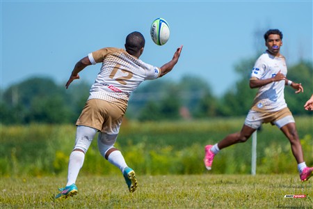 RQ 2025 - Final LP3 Masc - Montréal Phénix Rugby vs Nomades de Laval