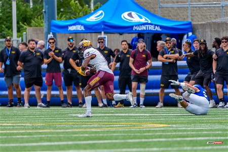 RSEQ 2025 - Football Universitaire - Carabins de Montréal (41) vs (14) Stingers de Concordia - Match