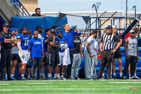 RSEQ 2025 - Football Universitaire - Carabins vs Stingers - Ambiance & Cheerleading