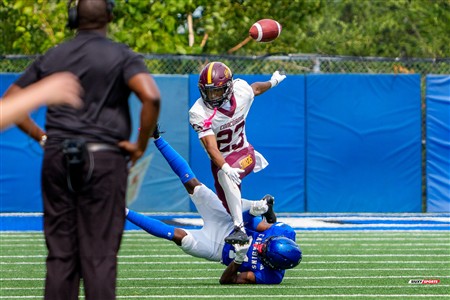 RSEQ 2025 - Football Universitaire - Carabins de Montréal (41) vs (14) Stingers de Concordia - Match