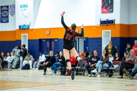RSEQ 2025 - Volleyball F D1 - André Laurendeau vs Édouard-Montpetit