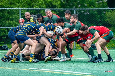 RQ 2025 - Super Ligue M Réserve - Rugby Club de Montréal (24) vs (8) Town Mount Royal -  Reel Juan