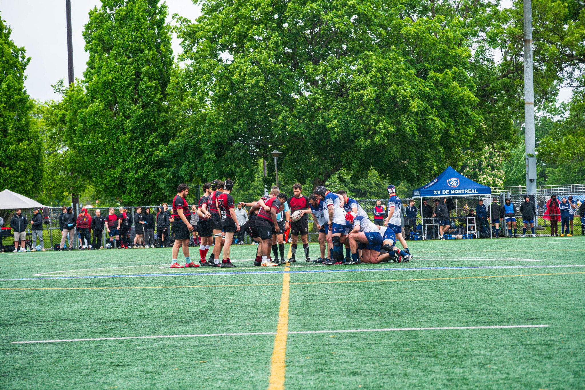  Rugby XV de Montréal - Westmount Rugby Club - Rugby - RQ 2025 - LP1M - XV de Montréal vs Westmount RC (#RQ25LP1XVMW5) Photo by:  | Siuxy Sports 2025-05-31