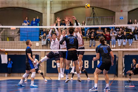 RSEQ 2025 - Volleyball M - Université de Montréal (3) vs (0) UNB
