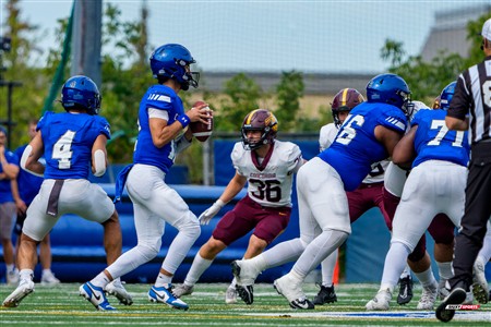 RSEQ 2025 - Football Universitaire - Carabins de Montréal (41) vs (14) Stingers de Concordia - Match