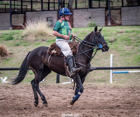 Torneo Nacional de Pato dia de la Independencia Argentina