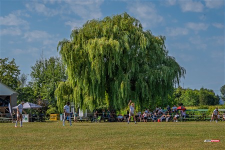 RQ 2025 - Final LP3 Masc - Montréal Phénix Rugby vs Nomades de Laval