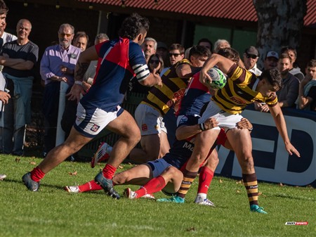 URBA 2025 - Top 12 - 5ta fecha - Belgrano Athletic (52) vs (17) San Luis