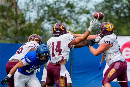 RSEQ 2025 - Football Universitaire - Carabins de Montréal (41) vs (14) Stingers de Concordia - Match