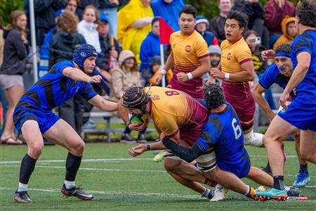 RSEQ 2025 - Rugby M - Université de Montréal vs Concordia University - Première mi-temps