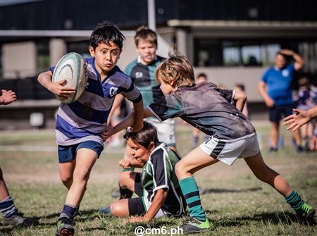 URT 2025 - Inferiores - Universitario vs Tucuman Rugby
