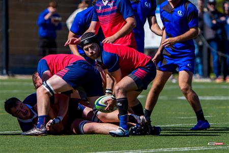 RSEQ 2025 - Rugby M - Université de Montréal vs ETS - Match