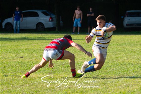 URT 2025 - Lince Rugby Club (12) vs (29)Tucuman Lawn Tennis Club