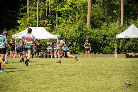 RQ 2025 - SL M - Sainte-Anne-de-Bellevue RFC vs Rugby Club de Montréal