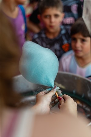 TLCF 2024 - Futbol - 13a Fecha Torneo Clausura 2024 B