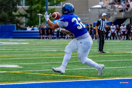 RSEQ 2025 - Football Universitaire - Carabins de Montréal (41) vs (14) Stingers de Concordia - Match