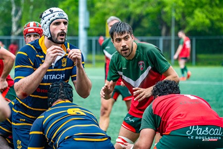 RQ 2025 - Super Ligue M Réserve - Rugby Club de Montréal (24) vs (8) Town Mount Royal -  Reel Juan