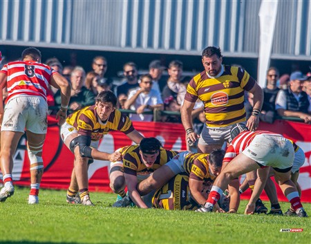 URBA 2025 - Top 12 - 3ra fecha - Sup -  Alumni (19) vs (35) Belgrano Athletic