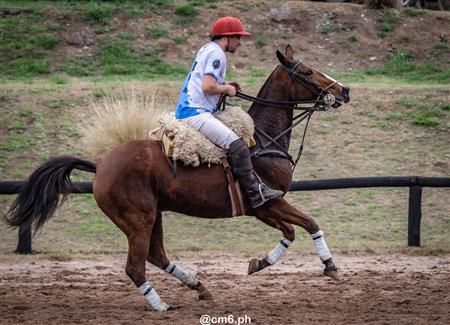 Torneo Nacional de Pato dia de la Independencia Argentina
