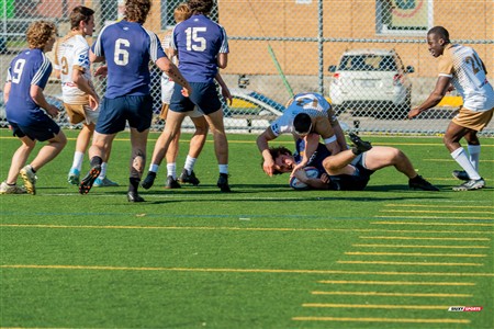 RQ 2025 - LPR3 M - Montréal Phénix Rugby (42) vs (5) Sainte-Anne-De-Bellevue RFC - Match